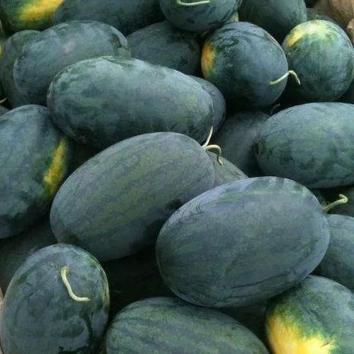 临夏看瓜怎么吃,探索瓜类美食的独特吃法