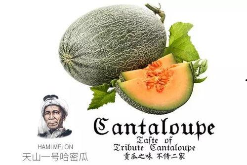 营销号专用bgm 吃瓜