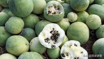 楼上嗑瓜子吃瓜,揭秘邻里间的欢乐时光