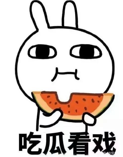 节奏吃瓜,畅享吃瓜盛宴