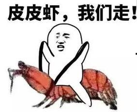 吃瓜学套路,揭秘娱乐圈背后的生存法则